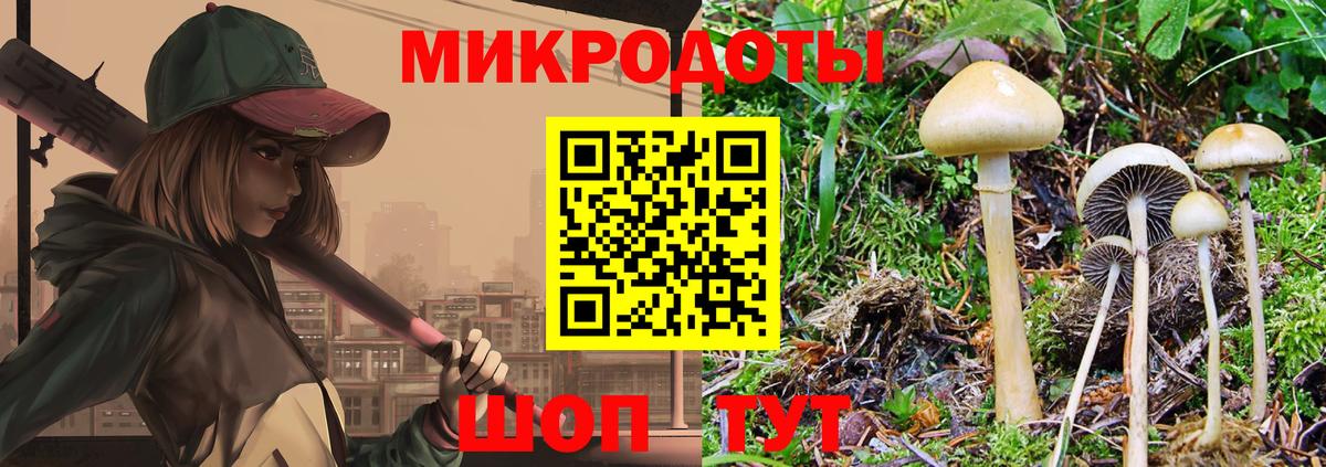 Галлюциногенные грибы GOLDEN TEACHER Железноводск