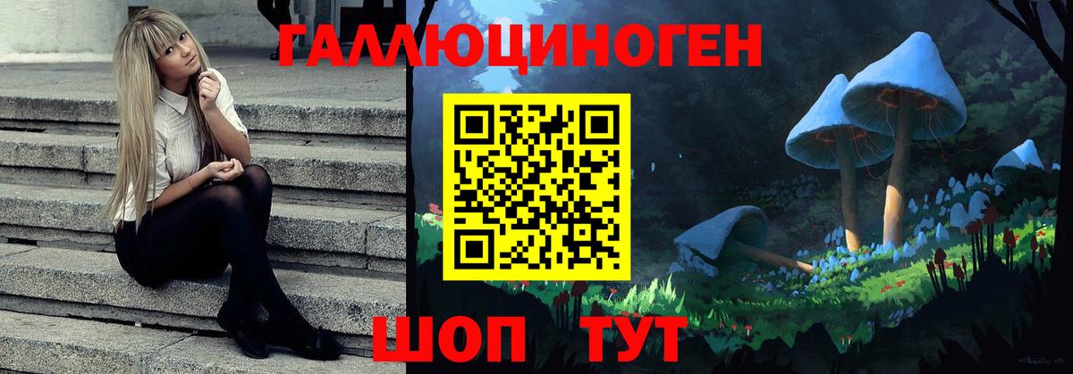 Железноводск  где купить   Вход с VPN  Галлюциногенные грибы Cubensis 